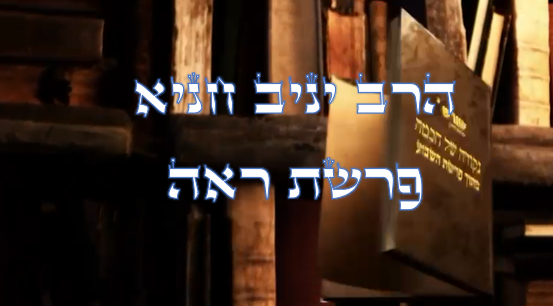 נקודה של חכמה מפרשת השבוע- ראה